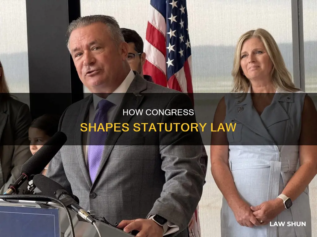 is statuatory law created by us congress