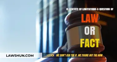 Statute of Limitations: Legal Principle or Factual Determination?