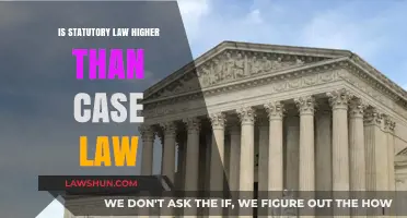 Statutory Law vs Case Law: Who Wins?