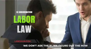 Understanding Subordination in Labor Law: Rights, Responsibilities, and Legal Implications