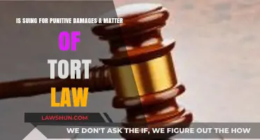 Punitive Damages in Tort Law: When and How to Sue