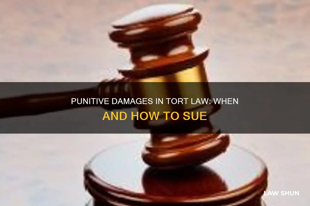 is suing for punitive damages a matter of tort law