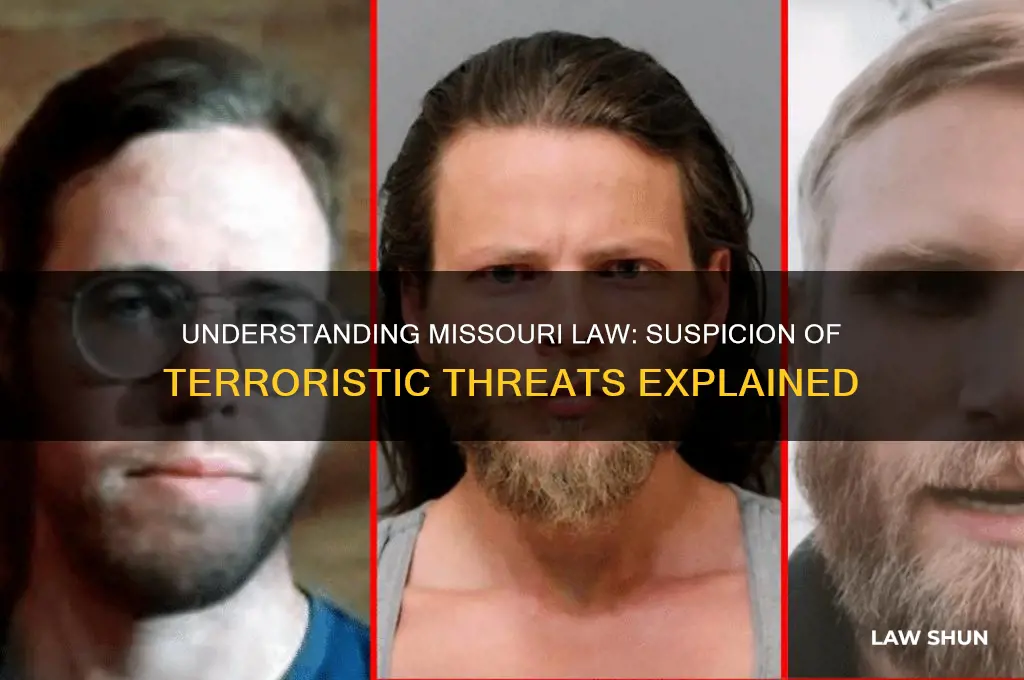 is suspicion of making a terroristic threat against missouri law