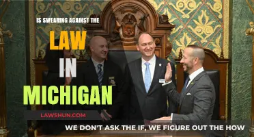 Is Swearing Illegal in Michigan? Understanding Public Profanity Laws