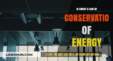 Sweat and Energy Conservation: Unraveling the Science Behind Human Effort