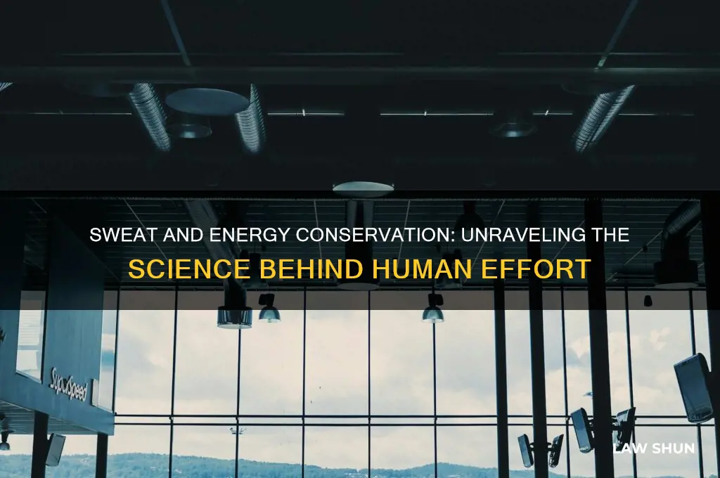 is sweat a law of conservation of energy