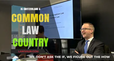Switzerland's Legal System: Common or Civil Law?