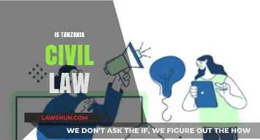 Understanding Tanzania's Legal System: Is It Civil Law or Mixed?