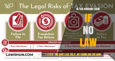 Tax Evasion: Loophole or Legal?