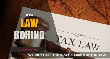 Tax Law: Exciting or Excruciating?