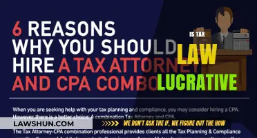 Lucrative Tax Law: A Smart Career Move?