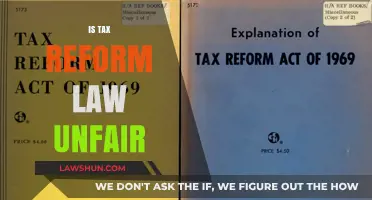 Tax Reform: Unfair to Whom?