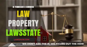 Tennessee's Property Laws: Common or Uncommon?