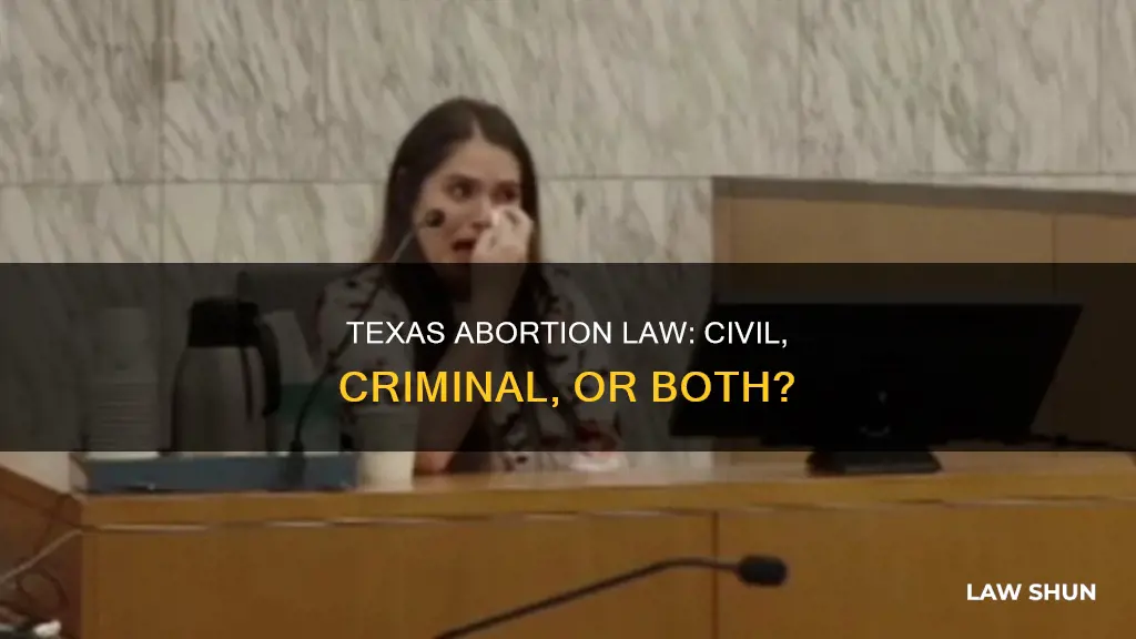 is texas abortion law civil or criminal