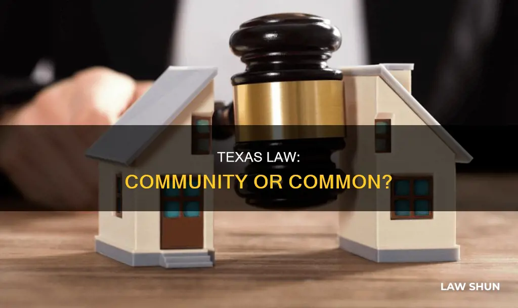 is texas common or community law
