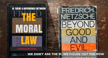 The Moral Law: Distinct or Same?