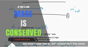 Is Mass Conservation a Law? Unraveling the Science Behind It