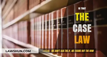 Case Law: Understanding the Legal System