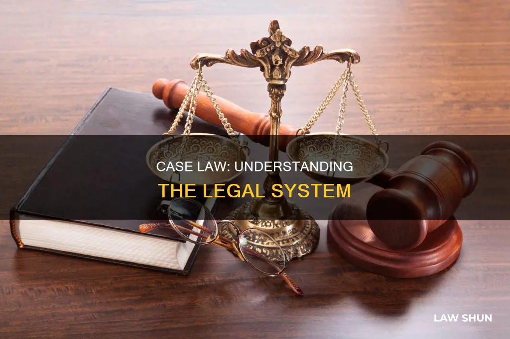 is that the case law