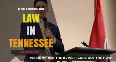 Tennessee's Anti-Bullying Law: Understanding Legal Protections and Policies