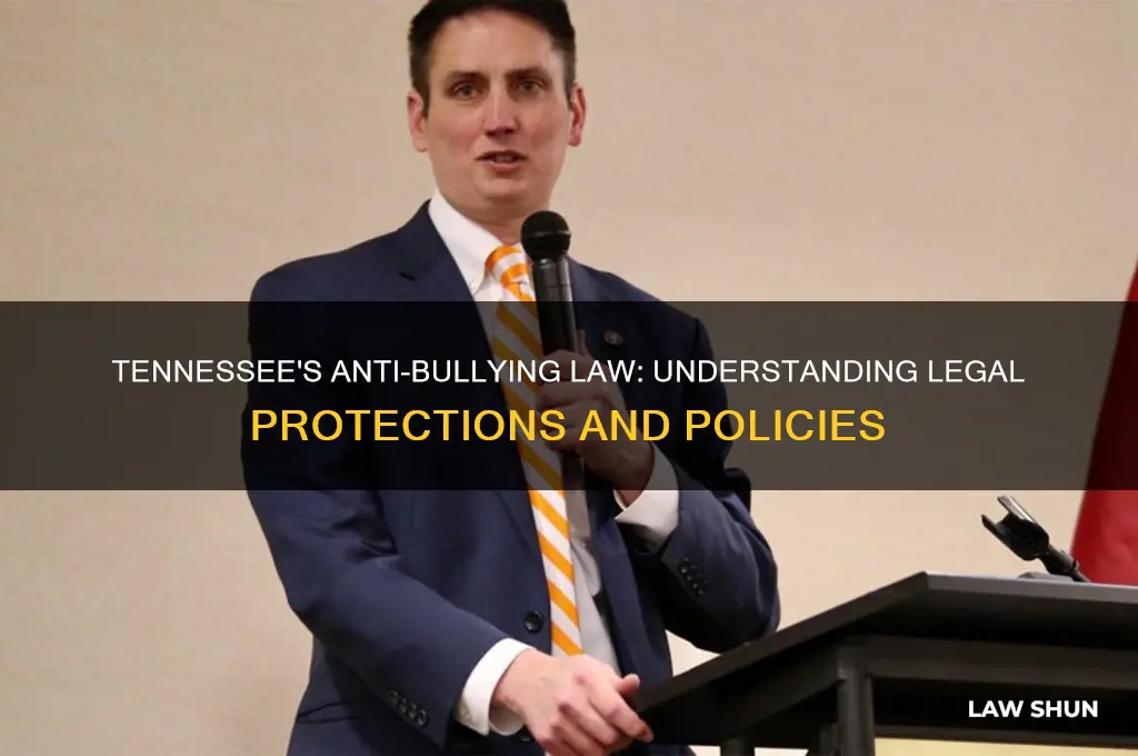 is the a anti bullying law in tennessee