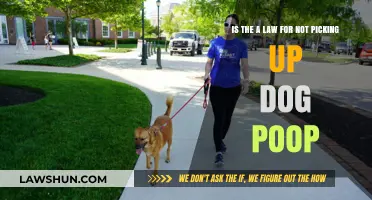 Legal Consequences of Ignoring Dog Poop: What You Need to Know
