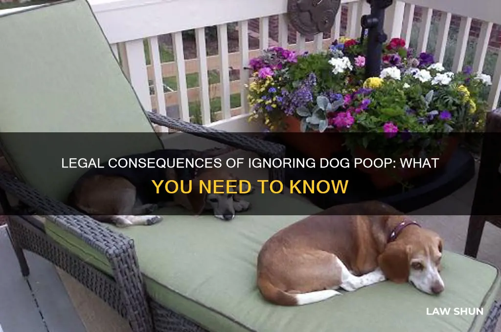 is the a law for not picking up dog poop