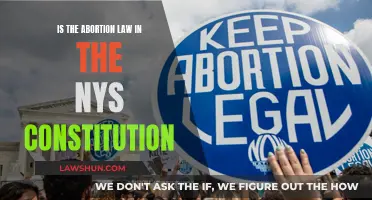 The Abortion Law: NYS Constitution's Controversial Clause