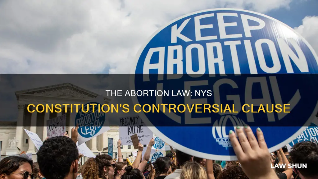 is the abortion law in the nys constitution