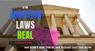 Abortion Laws: Real or Imagined?