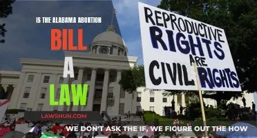 Alabama Abortion Bill: Law or Political Statement?