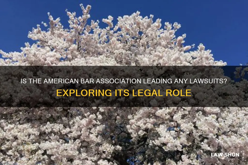 is the american bar association leading any law suits