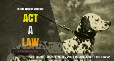 Understanding the Animal Welfare Act: Legal Status and Implications