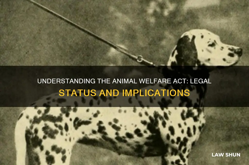 is the animal welfare act a law