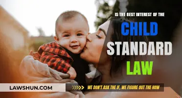 Child's Best Interest: Understanding the Legal Standard and Its Impact