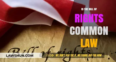 Bill of Rights: Common Law or Not?