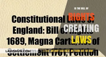 Bill of Rights: Creating Laws?