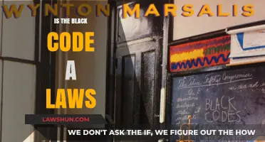 Understanding the Black Code: Legal Framework or Historical Oppression?