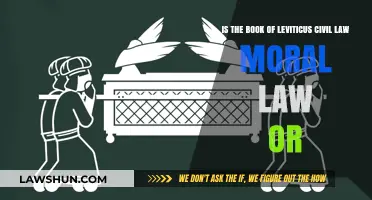 Leviticus: Civil, Moral, or Both? Unraveling Its Legal Nature
