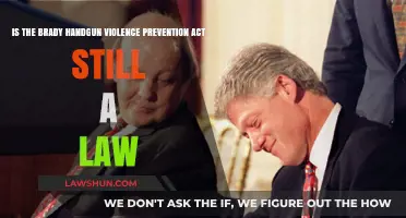 Is the Brady Handgun Act Still Enforced Today?