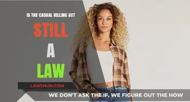 Is the Casual Killing Act Still Enforced in Modern Law?