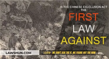 The Chinese Exclusion Act: America's First Anti-Immigrant Law