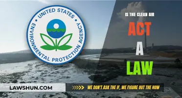 Is the Clean Air Act Legally Binding? Understanding Its Legal Status