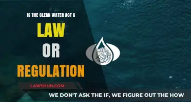 Understanding the Clean Water Act: Law, Regulation, or Both?