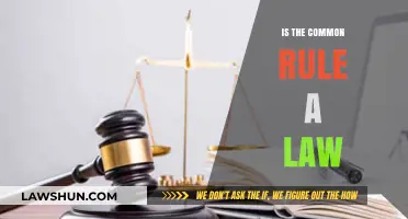 What is the Common Rule? Understanding Legal Fundamentals