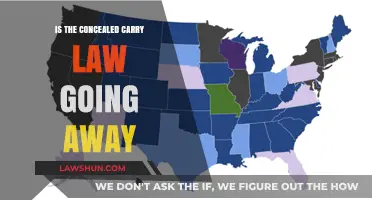 Concealed Carry Law's Future: Will It Survive or Disappear?
