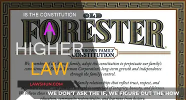 The Constitution: A Higher Law?