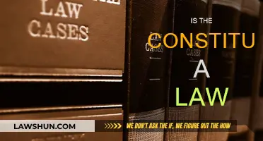 What Defines the Constitution: A Law or Not?