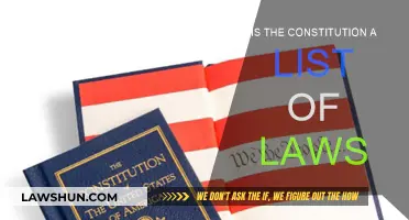 Understanding the Constitution: Laws or Not?