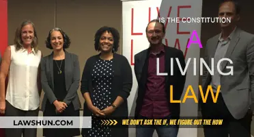 The Constitution: A Living Law?